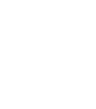 DY Patil University