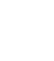 DY Patil University