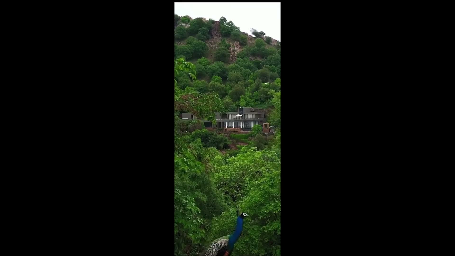 Villa Habu — Hospitality project